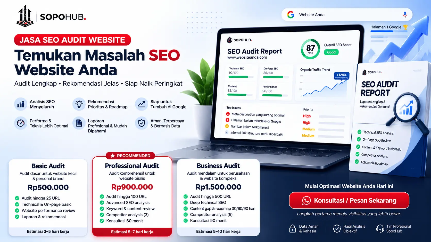 Jasa SEO Audit Website